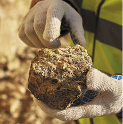 2019年歐洲標(biāo)準(zhǔn)化及相關(guān)活動(dòng)在采礦與金屬業(yè)金屬礦石領(lǐng)域的進(jìn)展